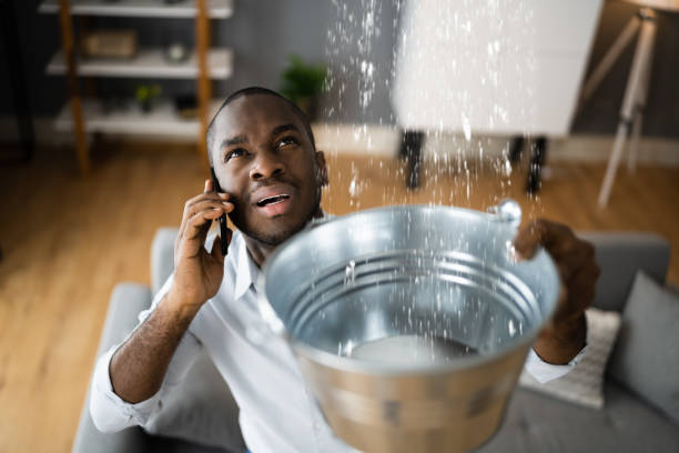 Best Fire Damage Restoration  in Linganore, MD