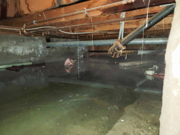 Best Fire Damage Restoration  in Linganore, MD