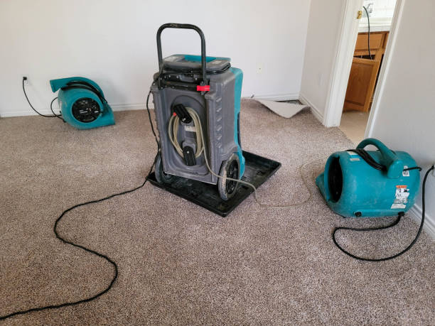 Best Carpet water damage restoration  in Linganore, MD